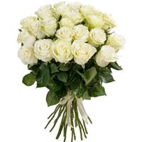 Чарівний букет із 25 білих імпортних троянд.