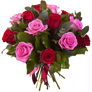 Bouquet of red and pink roses Bouquet of red and pink roses