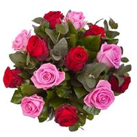 Bouquet of red and pink roses Bouquet of red and pink roses