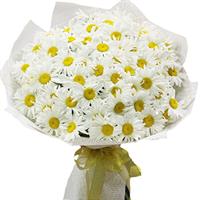 Букет з ромашок Букет з ромашок