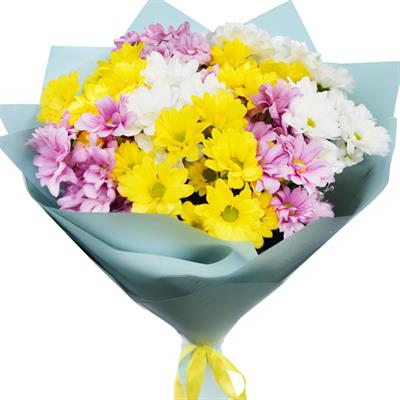 Bouquet of colored chrysanthemums Bouquet of colored chrysanthemums