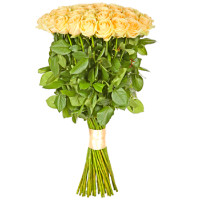 Bouquet of 51 Cream Imported Roses