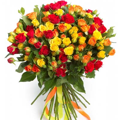 19 branches shrub roses 19 branches shrub roses