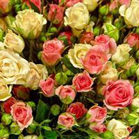 Basket with  bush roses Basket with  bush roses