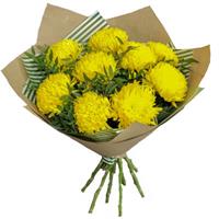 Bouquet of chrysanthemums