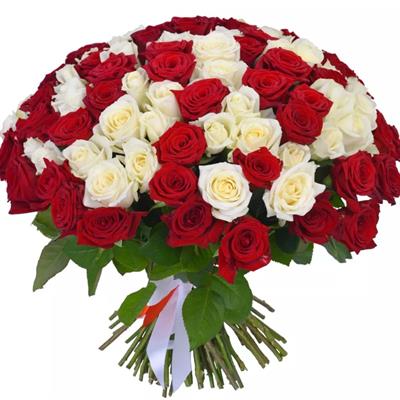 101 червона та біла троянда 101 червона та біла троянда