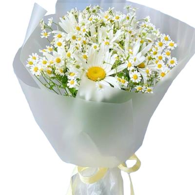 Gentle bouquet of daisies Gentle bouquet of daisies