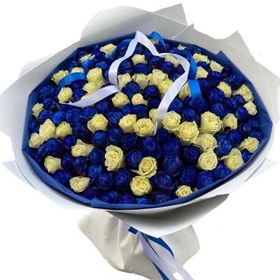 101 blue and white roses 101 blue and white roses