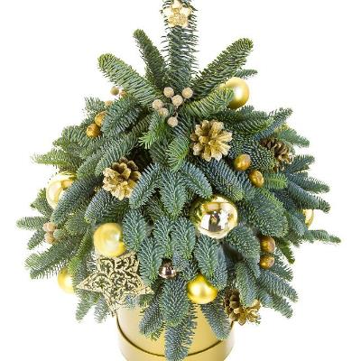 Маленька ялинка Маленька ялинка