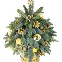 Маленька ялинка Маленька ялинка