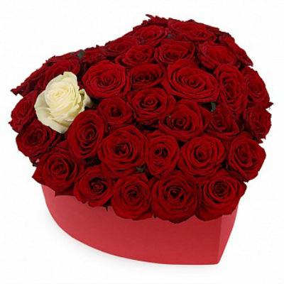 Box with roses in the shape of a heart Box with roses in the shape of a heart