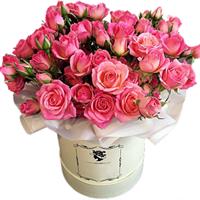 Spray roses in box