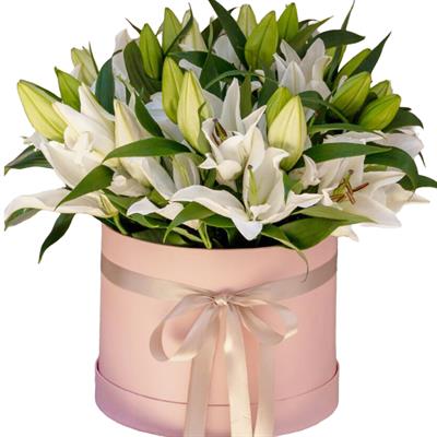 15 white lilies in a box 15 white lilies in a box