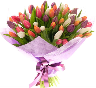 Букет з 75 різнокольорових тюльпанів  Букет з 75 різнокольорових тюльпанів