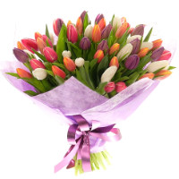 Букет з 75 різнокольорових тюльпанів  Букет з 75 різнокольорових тюльпанів