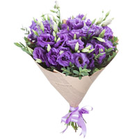 Purple eustoma