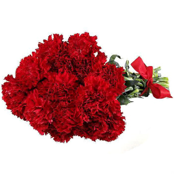 Bouquet of 15 red carnations Bouquet of 15 red carnations