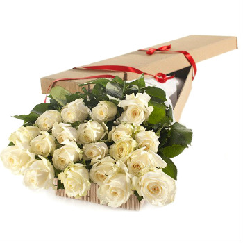 White roses in a box White roses in a box