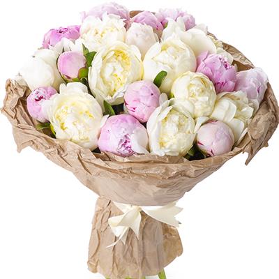 Букет из 21 пиона Букет из 21 пиона