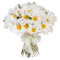 Букет з 25 ромашок Букет з 25 ромашок