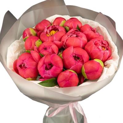 Bright bouquet of 15 coral peonies Bright bouquet of 15 coral peonies