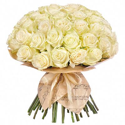 51 a gentle white roses 51 a gentle white roses