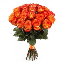 Bouquet of orange roses