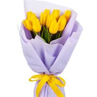 11 жовтих тюльпанів 11 жовтих тюльпанів