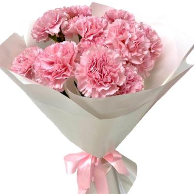 Original bouquet of 11 carnations Original bouquet of 11 carnations