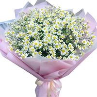 Airy bouquet of 25 stems of wild daisies