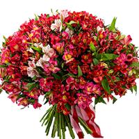 Gorgeous bouquet of 101 alstroemeria