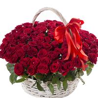 101 red roses in the basket