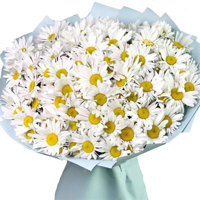 Ромашки Ромашки