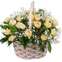 Bush rose basket with gypsophila