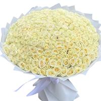 Композиция из 201 белой розы