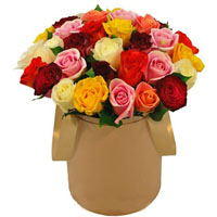 Коробка из 25 разноцветных роз