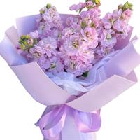 Мини букет из 5 веток маттиолы