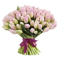 55 pink tulips