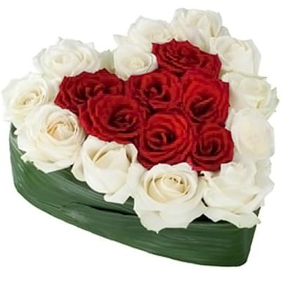 Сердце из 17 роз Сердце из 17 роз