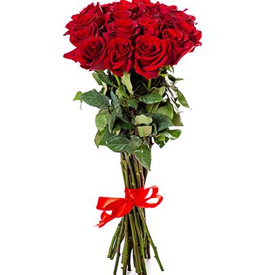 19 tall imported roses 19 tall imported roses