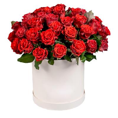 29 red roses in a hat box 29 red roses in a hat box