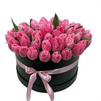 51 тюльпан розового цвета