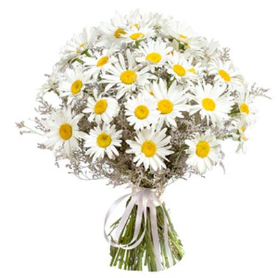 Букет з 39 ромашок Букет з 39 ромашок