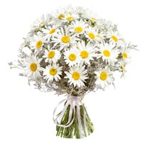 Букет з 39 ромашок Букет з 39 ромашок