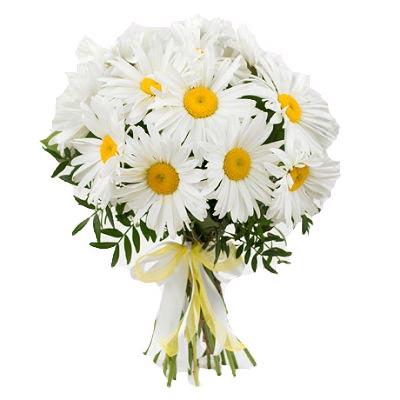 Букет з ромашками Букет з ромашками