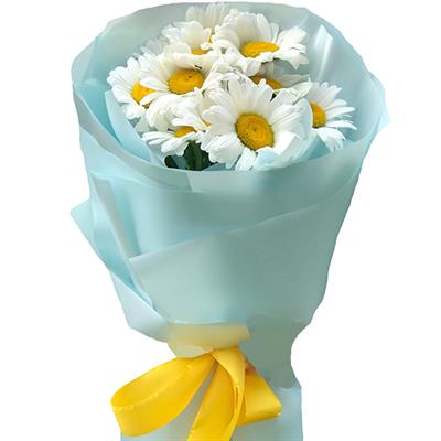 11 ромашок 11 ромашок