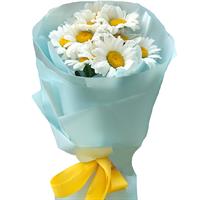 11 ромашок 11 ромашок