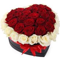 Heart of red and white roses