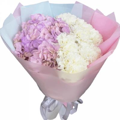 Букет из гортензии и гвоздик - нежное сочетание красоты и аромата Букет из гортензии и гвоздик - нежное сочетание красоты и аромата