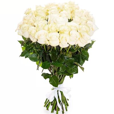 Luxurious bouquet of 35 white roses Luxurious bouquet of 35 white roses